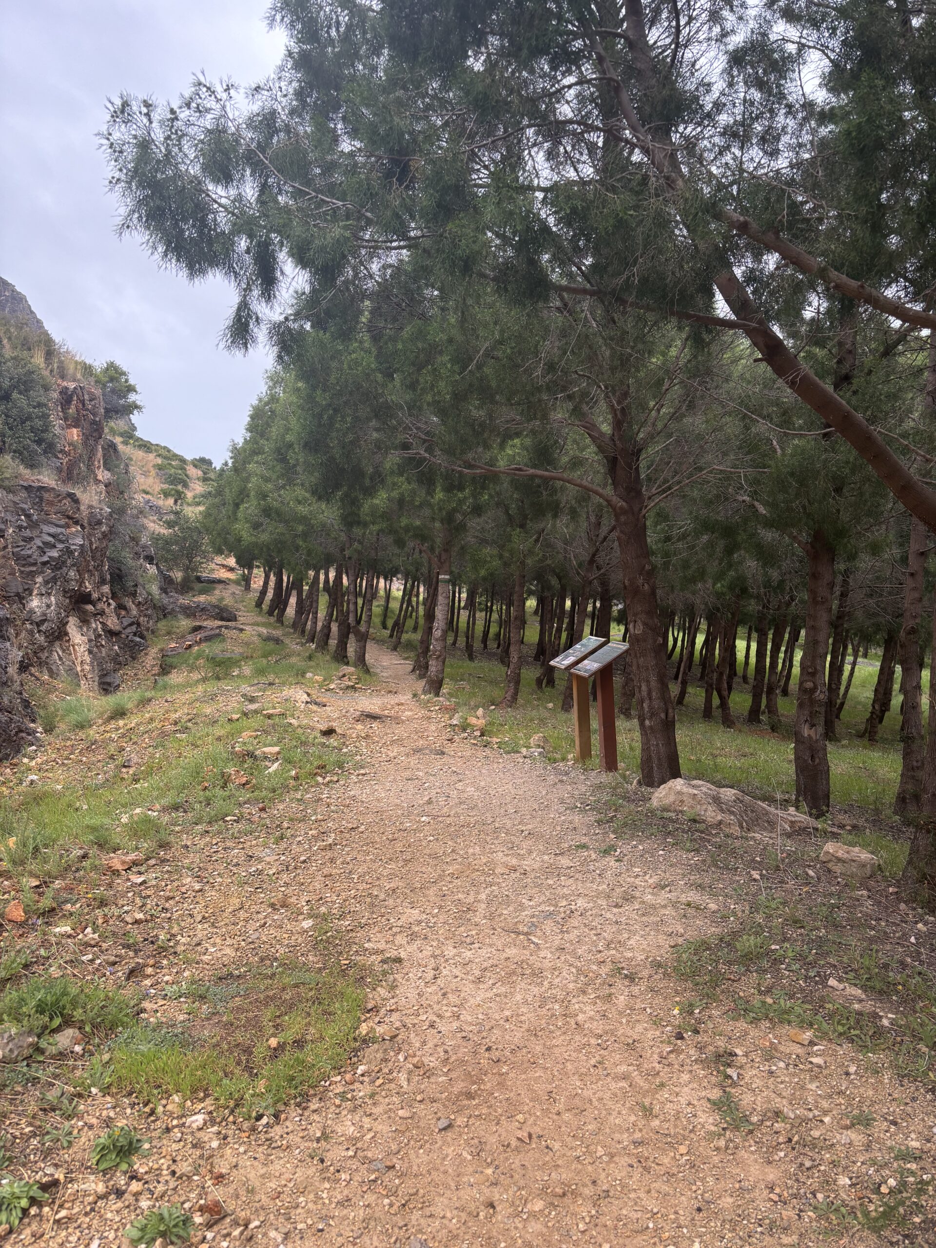 Sierra de Segaria