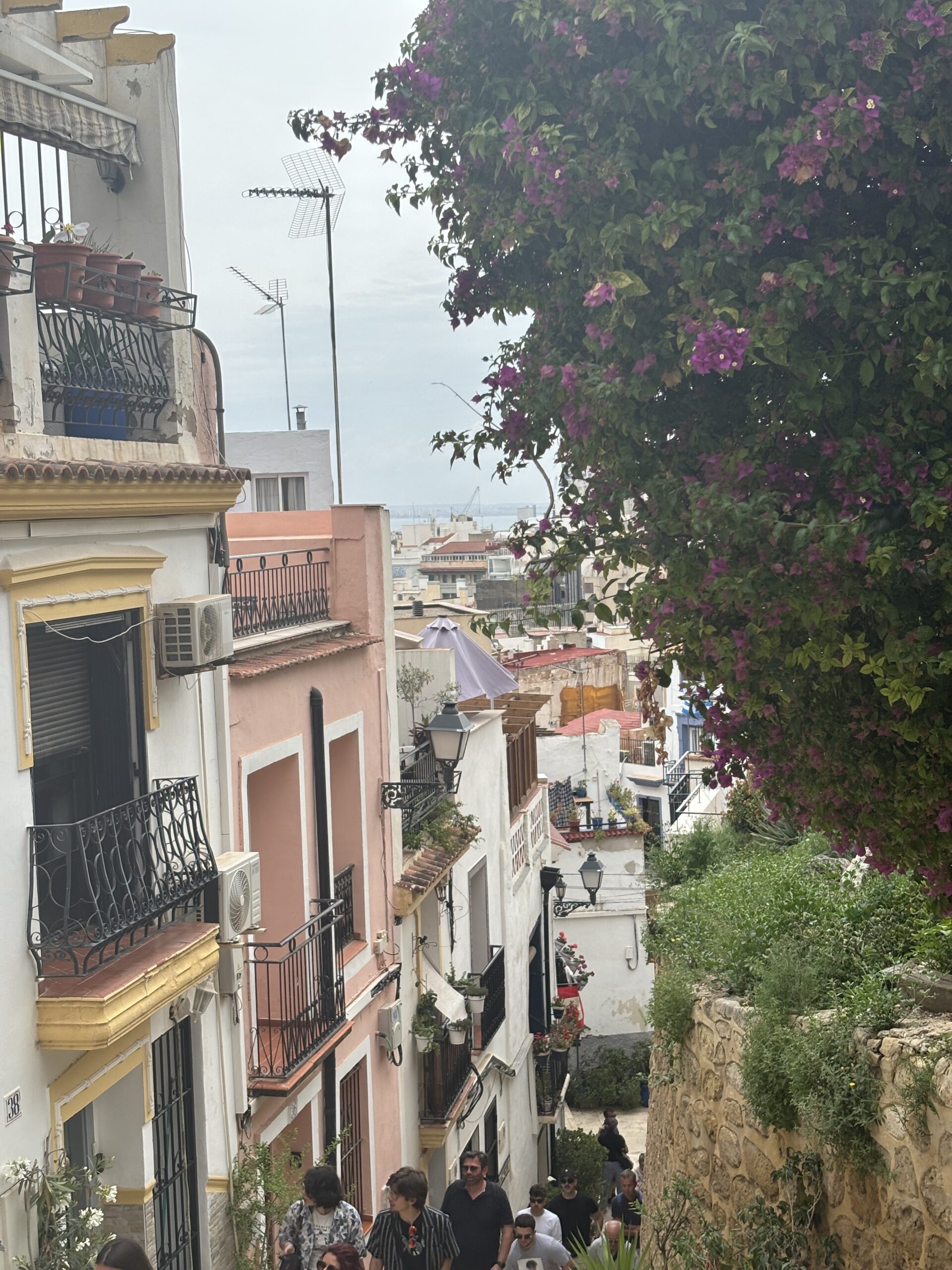 Alicante