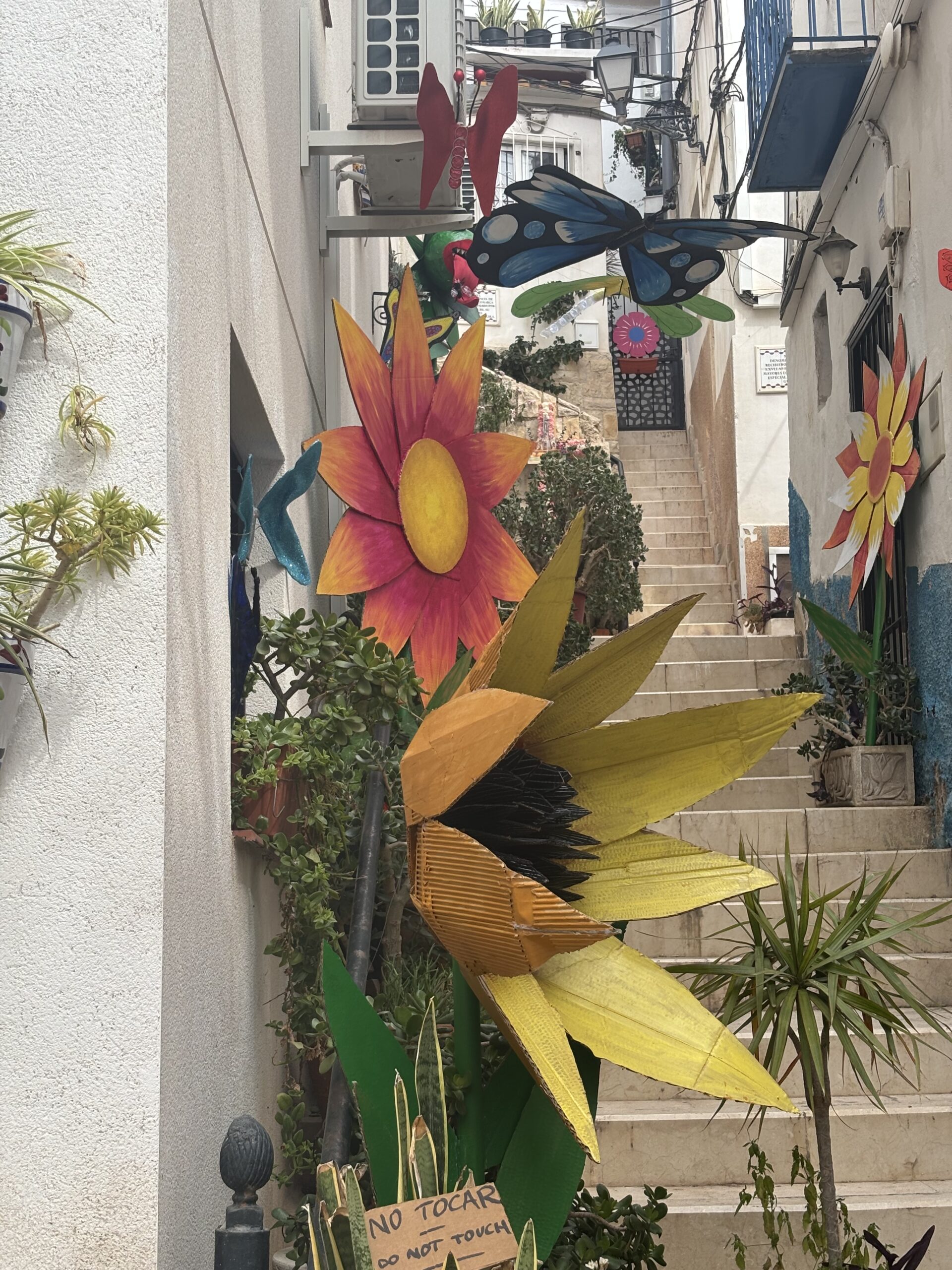 Alicante